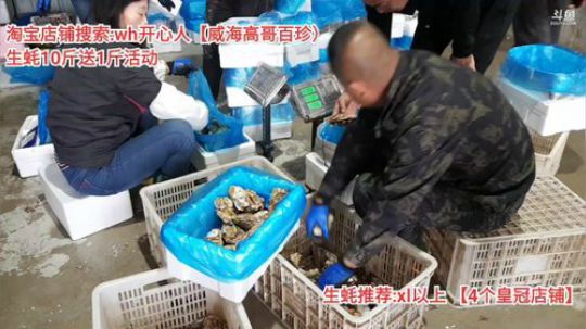 西北老狼哥哥发布了一个斗鱼视频2019-11-03