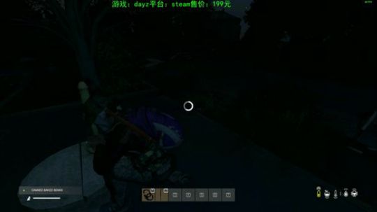 dayz新地图 试玩 2019-11-02 23点场
