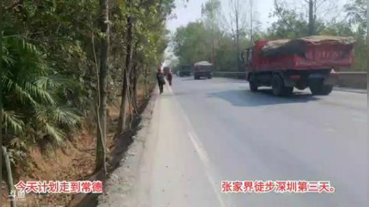 魅力徒步深圳第三天。 2019-11-03 12点场