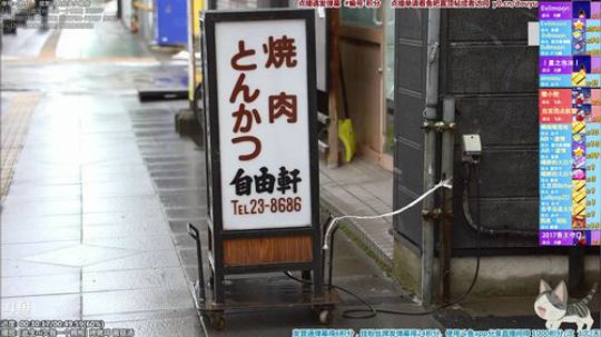 我在斗鱼看懒猫是只喵直播一起看