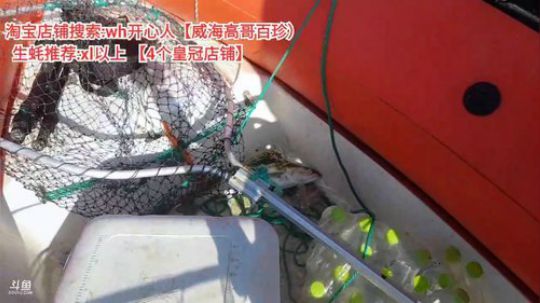 西北老狼哥哥发布了一个斗鱼视频2019-11-04