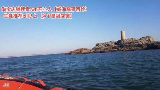 龙马精神丶老狼哥发布了一个斗鱼视频2019-11-04