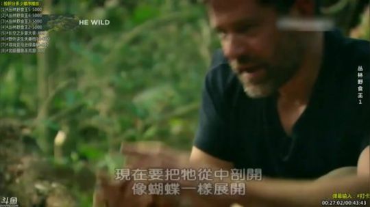 户外遛狗王飞哥发布了一个斗鱼视频2019-11-04