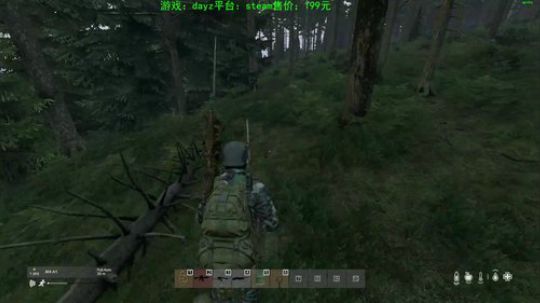 dayz新地图 试玩 2019-11-03 17点场