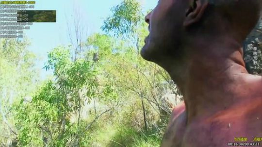 户外遛狗王飞哥发布了一个斗鱼视频2019-11-05