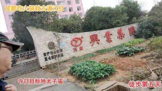 魅力徒步深圳第五天。 2019-11-05 10点场