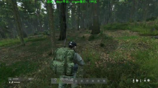 dayz新地图 试玩 2019-11-04 14点场
