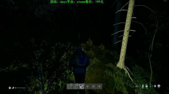 dayz新地图 试玩 2019-11-04 12点场
