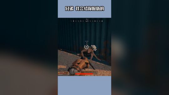 兄弟 你的恩情只能来世再报