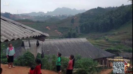 睿智兄弟闯《越南》第二天 2019-11-05 23点场