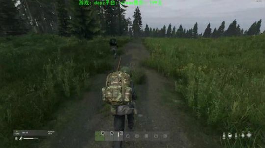 dayz新地图 试玩 2019-11-06 14点场