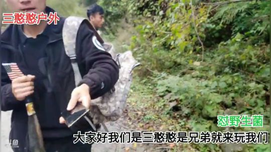 三憨憨之东拉山大峡谷摘野生菌 2019-11-05 13点场
