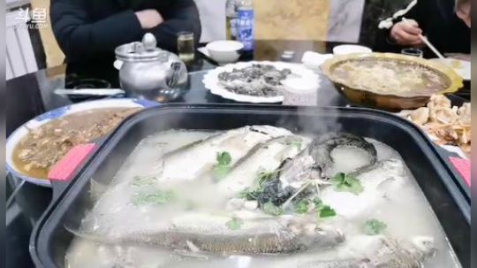 肖淑洁生命中的光和盐发布了一个斗鱼视频2019-11-06