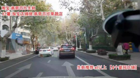 西北老狼哥哥发布了一个斗鱼视频2019-11-06