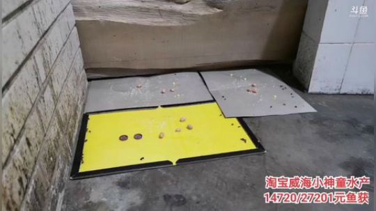 不再畏惧丶为愛低头发布了一个斗鱼视频2019-11-06