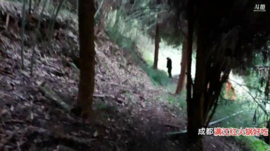 大咖野外48小时开播(≧ω≦)/ 2019-11-06 15点场