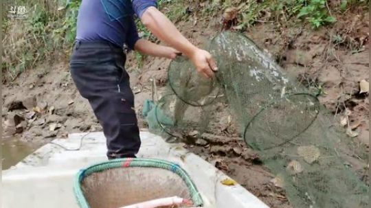 今天还要检查一下，强哥播一下 2019-11-06 11点场