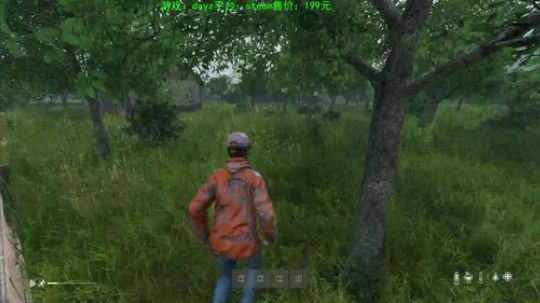 dayz新地图 试玩 2019-11-05 17点场