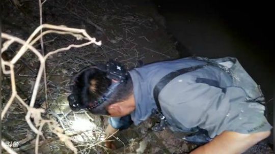 并无大碍 感谢兄弟们的关心 2019-11-06 21点场