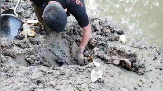 一言不合 怒怼野河 感谢一路有你们 2019-11-07 16点场