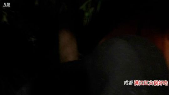 大咖野外48小时开播(≧ω≦)/ 2019-11-06 22点场