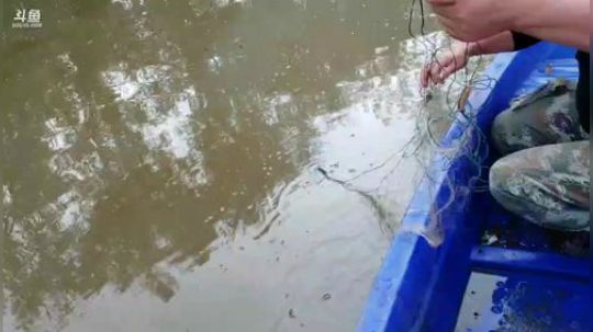 带兄弟们参观燕窝产业 2019-11-08 14点场