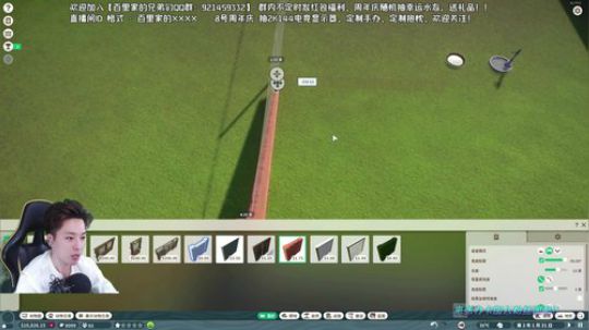 白天荒野大镖客2/晚上动物园之星 2019-11-07 23点场