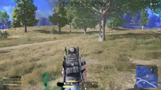 程可爱呀呀 2019-11-08 12点场