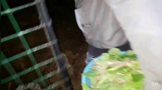 一言不合 怒怼野河 感谢一路有你们 2019-11-07 22点场