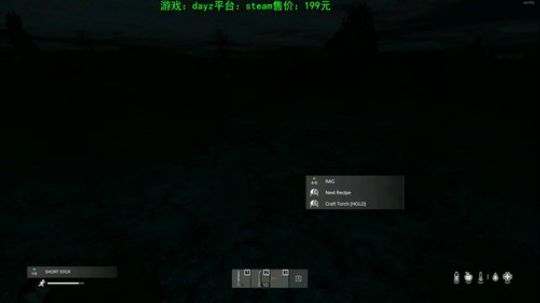 dayz新地图 试玩 2019-11-08 12点场