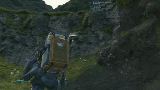 可尔必思diet 2019-11-08 11点场