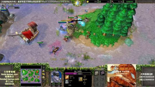 我在斗鱼看大帝LioN直播魔兽争霸