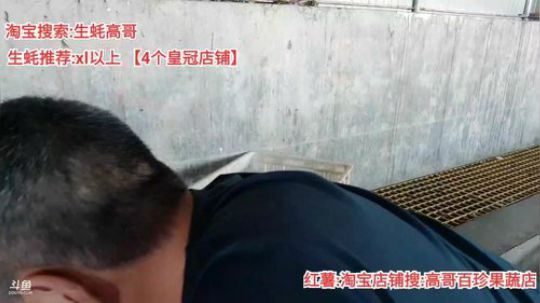 龙马精神丶老狼哥发布了一个斗鱼视频2019-11-08