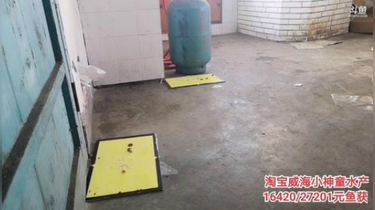 科头溜子发布了一个斗鱼视频2019-11-09
