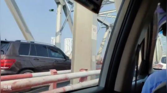 【金鱼奖】睿智兄弟闯《越南》第5天 2019-11-09 14点场