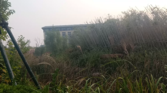 山财大漫步