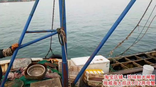 风里雨里，海鲜走起。 2019-11-09 15点场