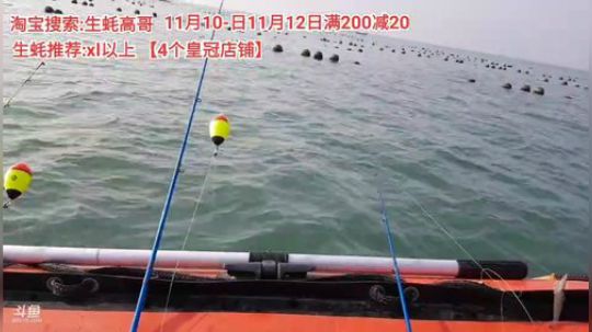 西北老狼哥哥发布了一个斗鱼视频2019-11-09