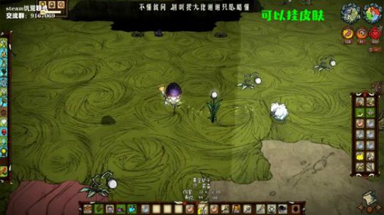 【饥荒联机】想快点告诉你我用你送的蜡笔 2019-11-08 16点场