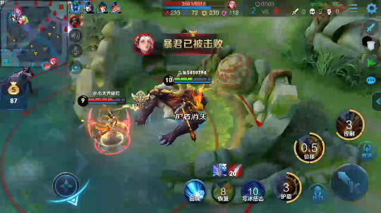 白锋猴子