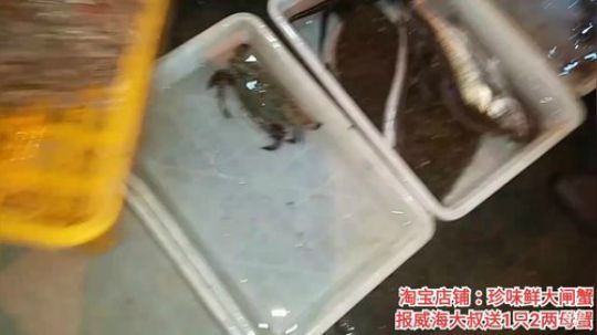 风里雨里，海鲜走起。 2019-11-09 17点场