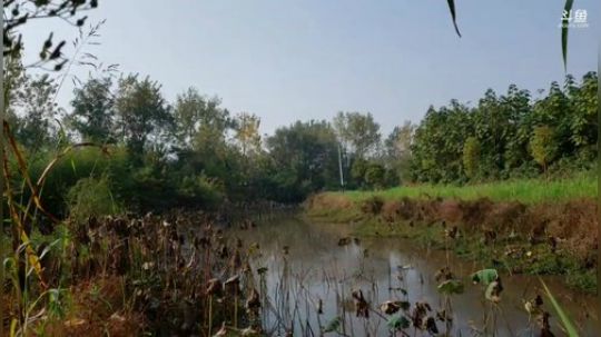 带兄弟们参观燕窝产业 2019-11-09 09点场