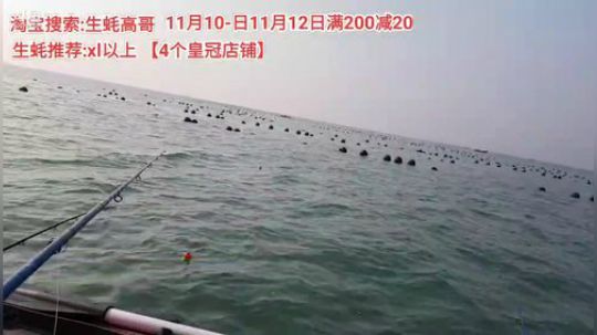 西北老狼哥哥发布了一个斗鱼视频2019-11-09