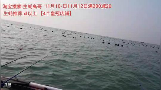 西北老狼哥哥发布了一个斗鱼视频2019-11-09