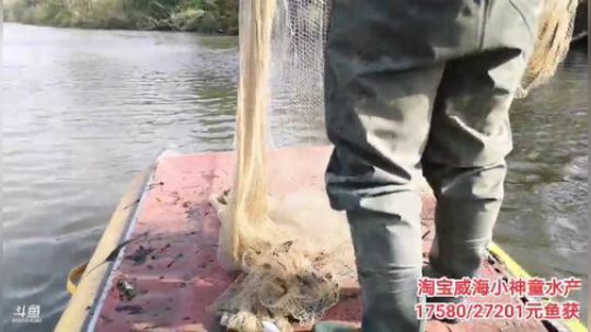 科头溜子发布了一个斗鱼视频2019-11-10