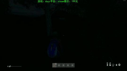 dayz新地图 试玩 2019-11-10 12点场