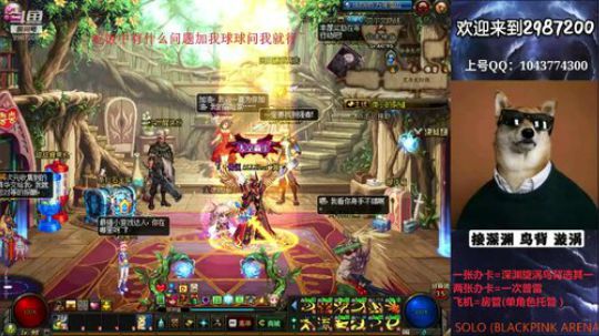 普雷|漩涡|鸟背|升级|日常|免费看号~ 2019-11-09 12点场
