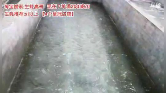 科头溜子发布了一个斗鱼视频2019-11-10