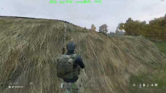 dayz新地图 试玩 2019-11-10 14点场