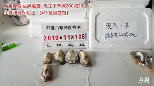 西北老狼哥哥发布了一个斗鱼视频2019-11-10